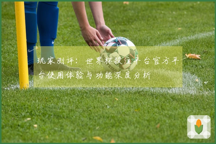 玩家测评：世界杯投注平台官方平台使用体验与功能深度分析