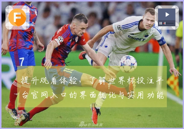 提升观看体验，了解世界杯投注平台官网入口的界面优化与实用功能