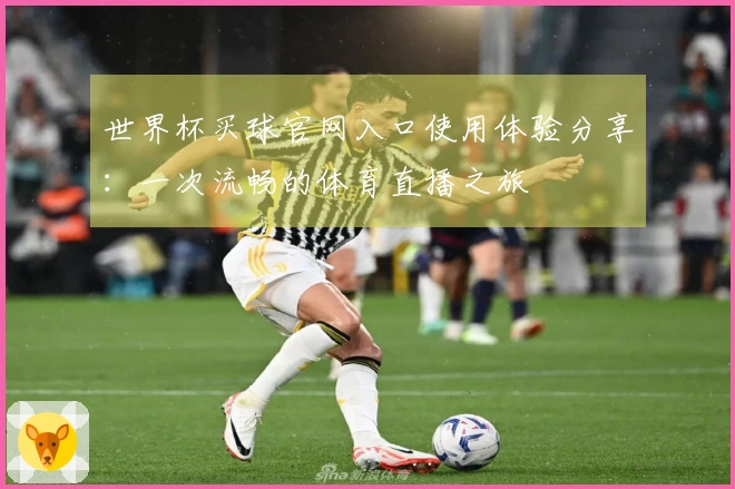 世界杯买球官网入口使用体验分享：一次流畅的体育直播之旅