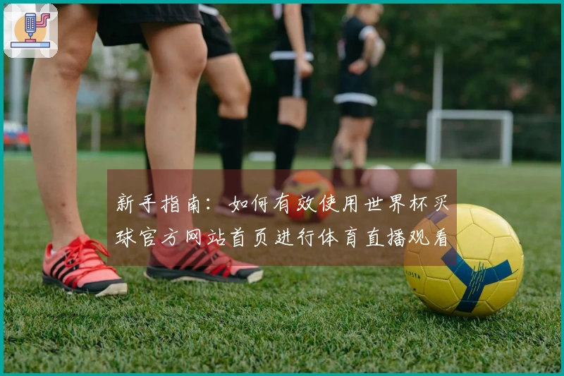 新手指南：如何有效使用世界杯买球官方网站首页进行体育直播观看与互动