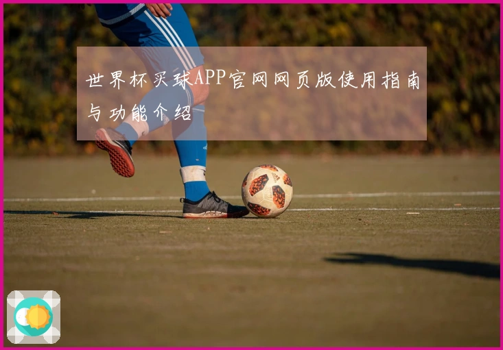 世界杯买球APP官网网页版使用指南与功能介绍