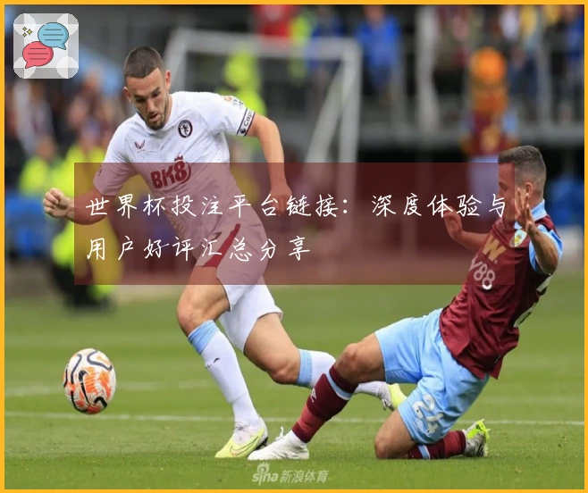 世界杯投注平台链接：深度体验与用户好评汇总分享