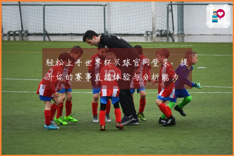 轻松上手世界杯买球官网登录，提升你的赛事直播体验与分析能力