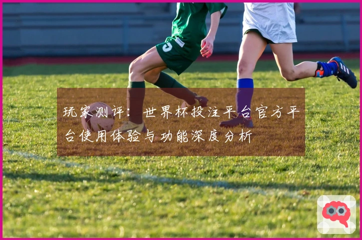 玩家测评：世界杯投注平台官方平台使用体验与功能深度分析