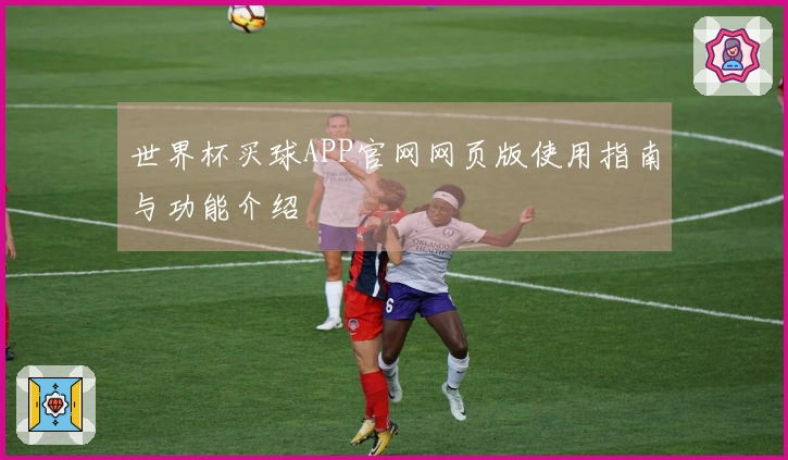 世界杯买球APP官网网页版使用指南与功能介绍