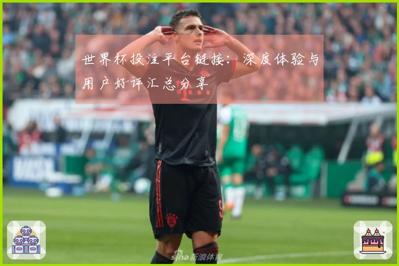 世界杯投注平台链接：深度体验与用户好评汇总分享