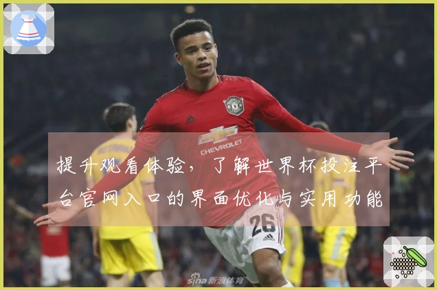 提升观看体验，了解世界杯投注平台官网入口的界面优化与实用功能